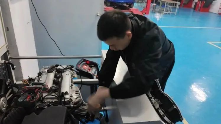 5.gif